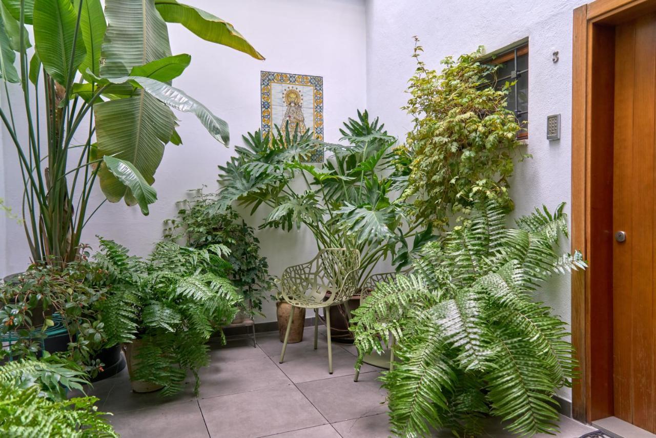 Barracart Apartments — Fotos 1